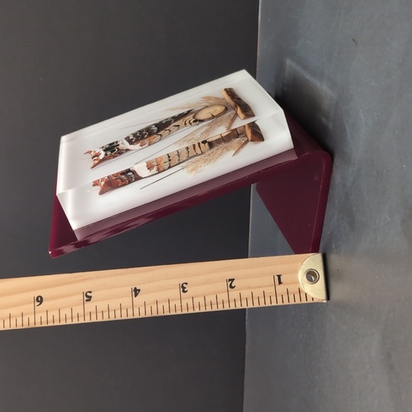 Vintage Lucite Encased Carved And painted Owl In a Maroon Frame. - Picture 7 of 9